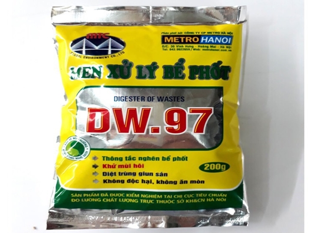 Men hầm cầu 2