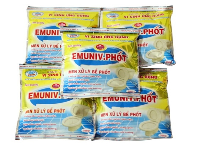 Men hầm cầu 3