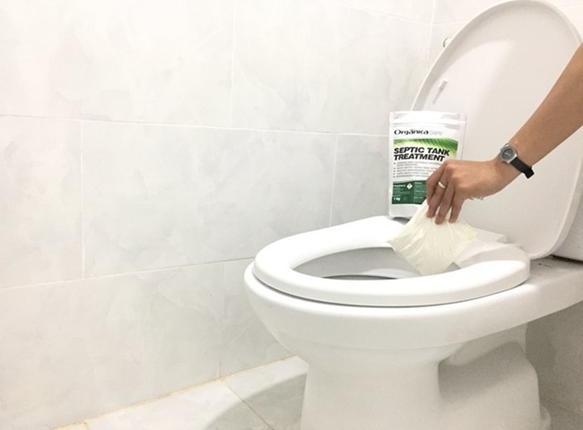 Men hầm cầu 5