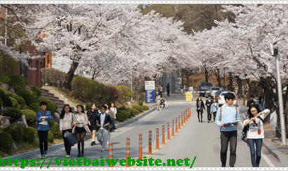 Cơ hội du học Hàn Quốc ngành giáo dục mầm non hiện nay