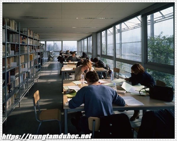 Học tiếng Ph&aacute;p hiệu quả c&ugrave;ng đồng nghiệp