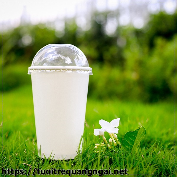 L&yacute; do bạn n&ecirc;n chọn mua ly đựng nước nguội Ch&acirc;u Sơn.