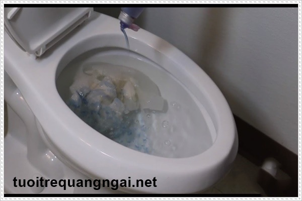 M&ugrave;i h&ocirc;i nh&agrave; vệ sinh g&acirc;y ảnh hưởng đến mọi người