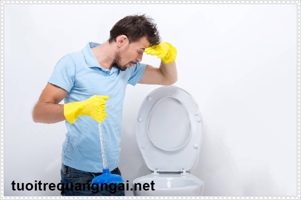 Loại bỏ m&ugrave;i h&ocirc;i nh&agrave; vệ sinh hiệu quả nhất