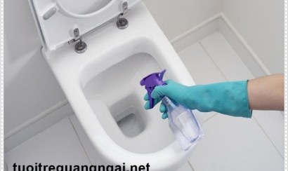 Xử lý tình trạng bồn cầu bị nghẹt giấy