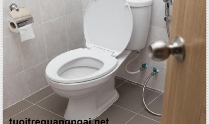 Các biểu hiện khi bồn cầu bị nghẹt