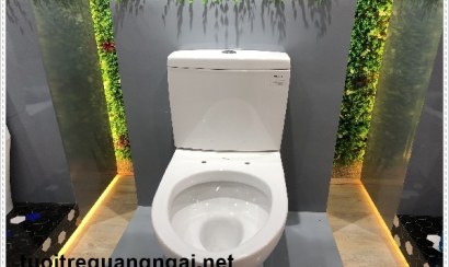  Xử lý bồn cầu bị tắc nghẽn bởi vật cứng 