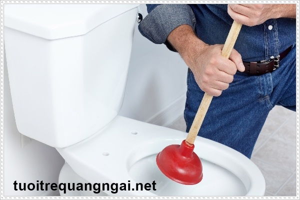 Đổ nước xà phòng vào bồn cầu và xử lý bằng ống thụt