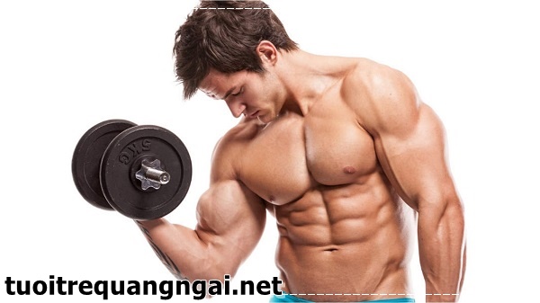 Chế độ dinh dưỡng thể h&igrave;nh
