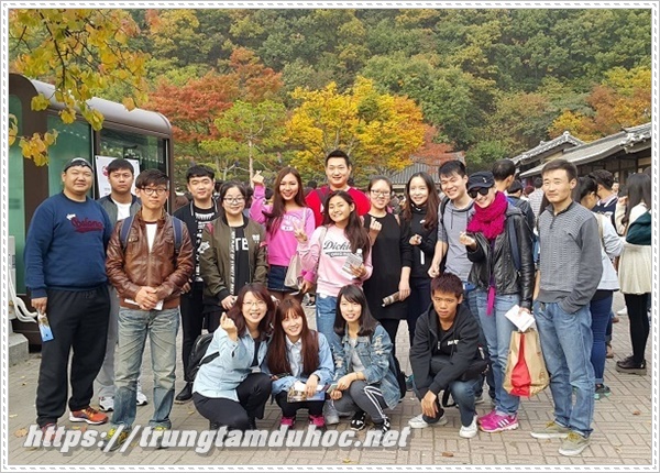 Ngày càng nhiều bạn trẻ lựa chọn đi du học Hàn Quốc