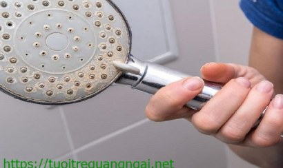 Cách làm sạch vòi sen đơn giản và hiệu quả nhất