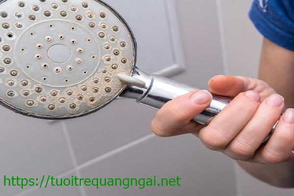tại sao phải làm sạch vòi sen