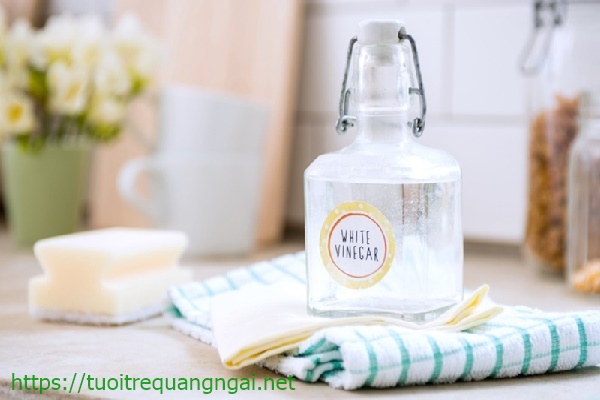 làm sạch vòi sen bằng giấm ăn