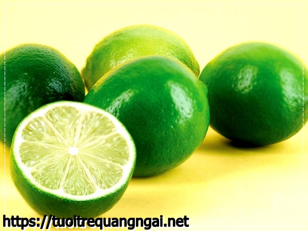 Khử m&ugrave;i h&ocirc;i trong ph&ograve;ng k&iacute;n bằng cam qu&yacute;t