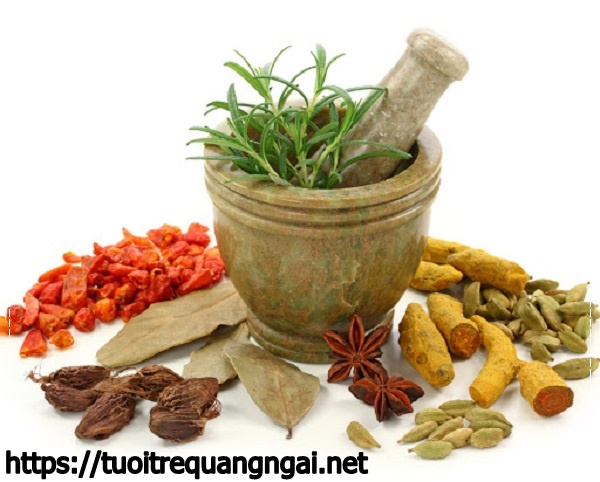 Khử m&ugrave;i h&ocirc;i trong ph&ograve;ng k&iacute;n bằng thảo dược kh&ocirc;