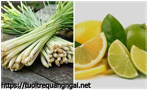 Khử m&ugrave;i h&ocirc;i trong ph&ograve;ng k&iacute;n bằng sả