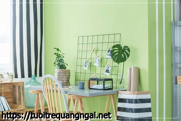 Nguy&ecirc;n nh&acirc;n v&agrave; c&aacute;ch khử m&ugrave;i h&ocirc;i trong ph&ograve;ng k&iacute;n