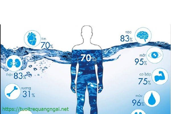vai tr&ograve; của nước đối với con người