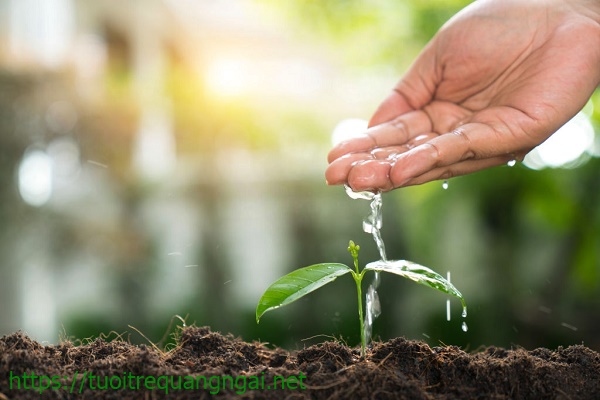 vai tr&ograve; của nước sạch đối với sinh vật