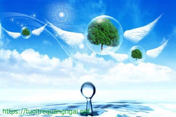 kh&aacute;i niệm về nước sạch