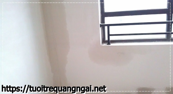 Nguy&ecirc;n nh&acirc;n - ph&ograve;ng bị ẩm mốc phải l&agrave;m sao?