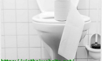 Phương pháp thông bồn cầu bị nghẹt giấy