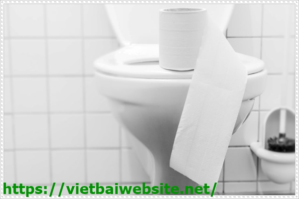 Bồn cầu bị tắc do giấy vệ sinh