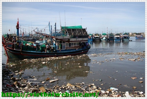 &Ocirc; nhiễm m&ocirc;i trường.