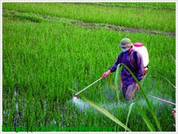 Giải pháp giải quyết vệ sinh môi trường ở nông thôn