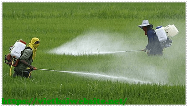 Vệ sinh môi trường ở nông thôn