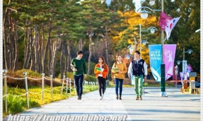 Tất tần tật về các chi phí khi du học Hàn Quốc