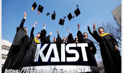 Săn học bổng du học Hàn Quốc 2021 có khó như bạn nghĩ?