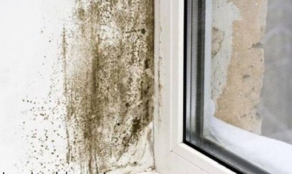 Cọ sạch bồn rửa chén hiệu quả